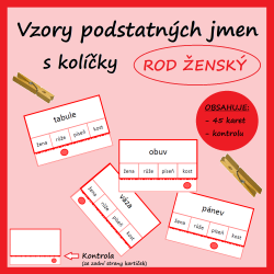 Vzory podstatných jmen s...