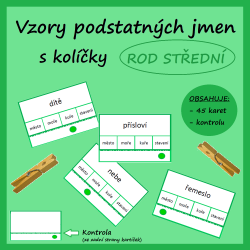 Vzory podstatných jmen s...