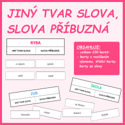 Jiný tvar slova, slova...