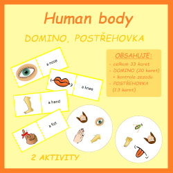 Human body - domino,...